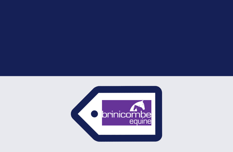 Brinicombe Equine