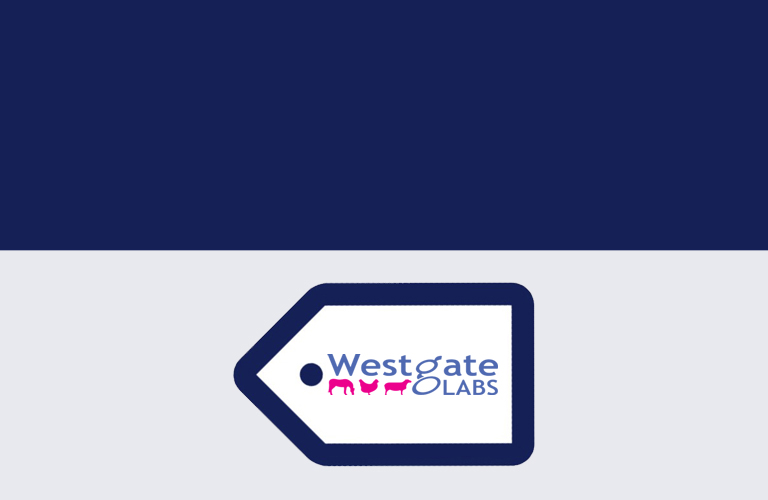 Westgate Labs