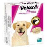 Veloxa XL Chewable Wormer for Dogs