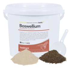 Feedmark Boswellium (Equine)