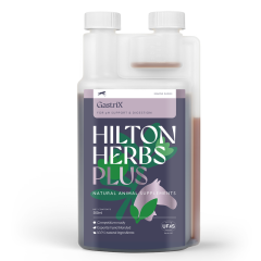 Hilton Herbs GastriX Plus 500ml