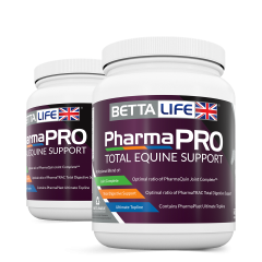 BETTALIFE PharmaPRO Total Equine Support 1kg (Equine) 