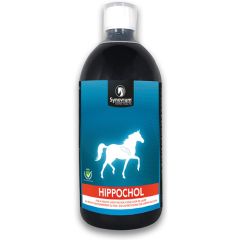 Synovium Hippochol 1 Litre (Equine)