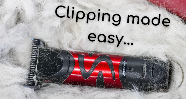 Clipping made easy with Liveryman