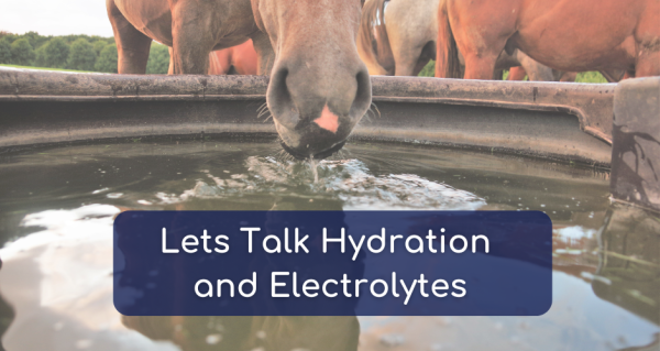 Lets Talk Hydration and Electrolytes