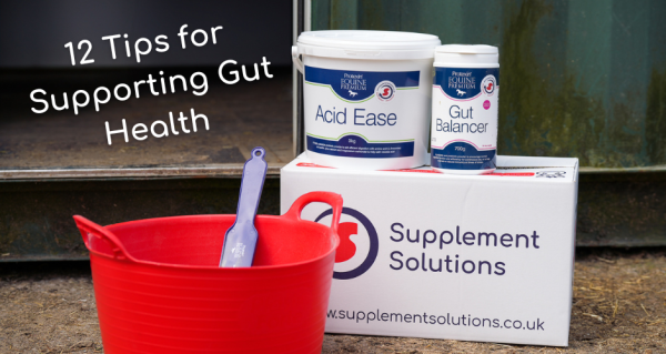 12 Tips for Supporting Gut Health