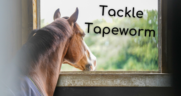 Tackle Tapeworm