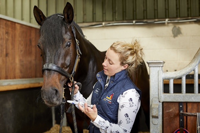 Worming for roundworm with a syringe