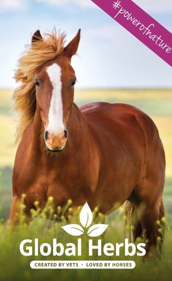 Global Herbs horse supplements