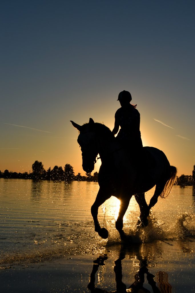 Horse riding on the beach at sunset
