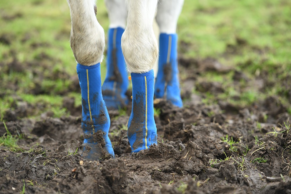 Horse wearing Equilibrium Products Equi Chaps Close Contact Chaps on muddy ground