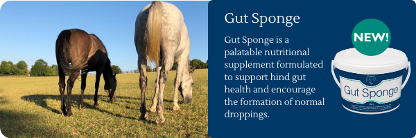 gut sponge banner for free faecal water syndrome
