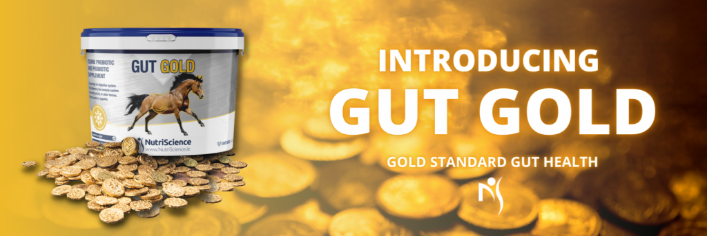 gut gold banner