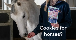 Why you should feed your horse cookies...