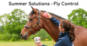 Summer Solutions - Fly Control