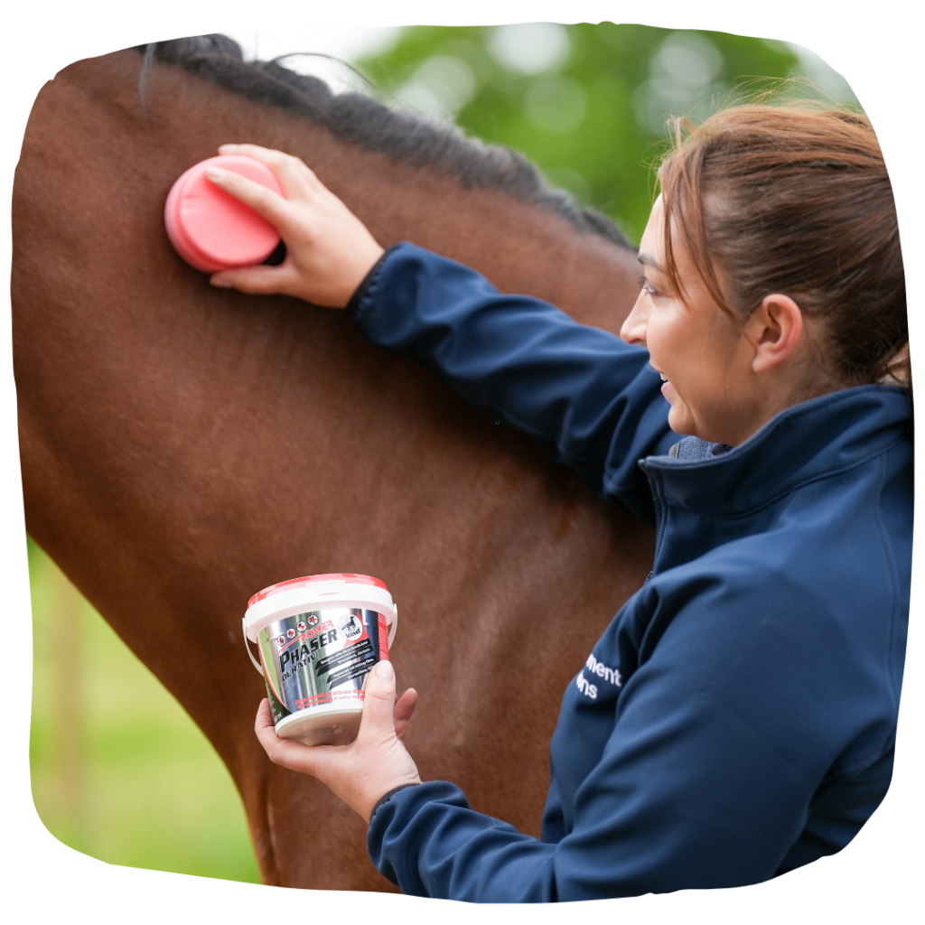 Applying fly repellent gel