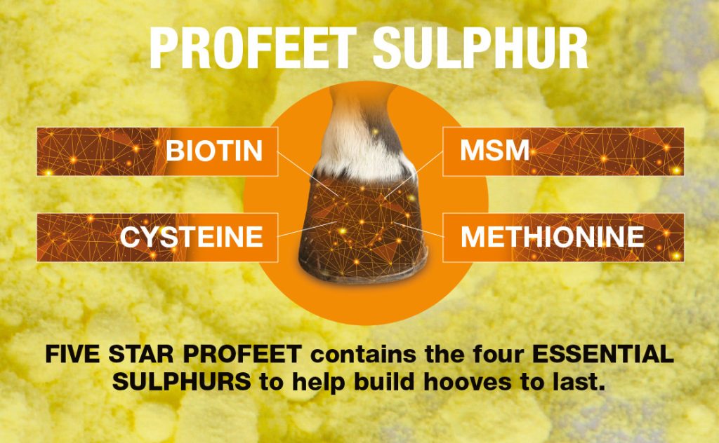 NAF PROFEET sulphur