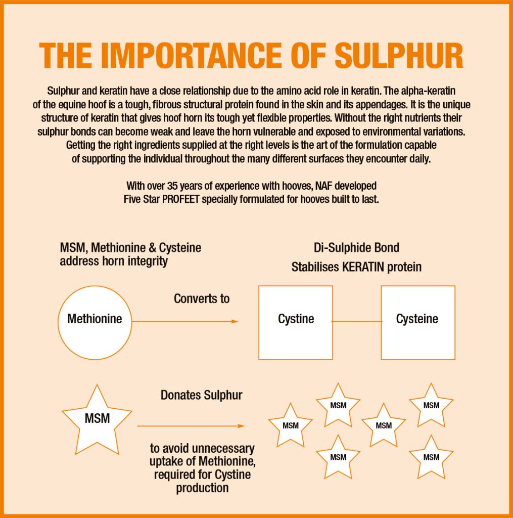 importance of sulphur