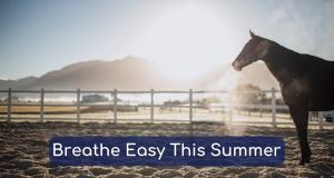 Breathe Easy This Summer