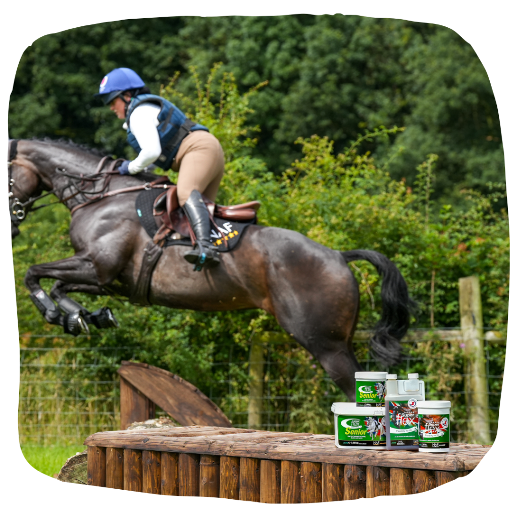 Horse jumping cross country jumps, with joint supplements in foreground